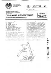 Устройство для предпосевной обработки семян (патент 1517789)