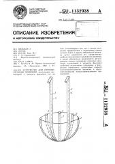 Устройство для иммобилизации мошонки (патент 1132938)