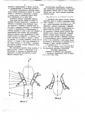 Устройство для очистки плодов (патент 745483)