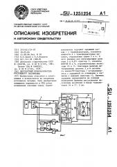Двухтактный преобразователь постоянного напряжения (патент 1251254)