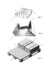 Комплексная упаковка для куриного яйца и способ формирования штабеля на ее основе (патент 2651490)