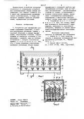 Устройство для выращивания растений (патент 865227)
