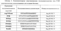 Тест-система для определения мутаций в генах фумарилацетоацетат гидролазы и альфа-1-антитрипсина человека (патент 2458131)