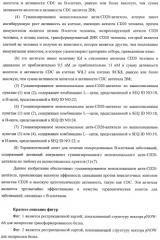 Гуманизированное моноклональное анти-cd20-антитело (патент 2406730)