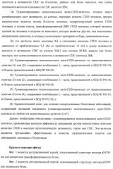 Гуманизированное моноклональное анти-cd20-антитело (патент 2406730)