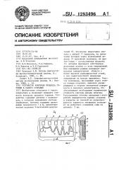 Устройство контроля процесса горения в камере сгорания (патент 1283496)