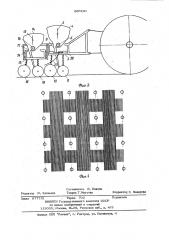Устройство для посева семян сидератов в садах (патент 880290)