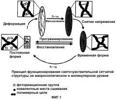 Светочувствительная полимерная сетчатая структура (варианты), способ ее получения, фотореакционноспособный компонент, их применение, и способ программирования такой структуры (патент 2296141)