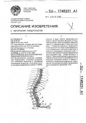 Устройство для коррекции искривлений позвоночника (патент 1745231)