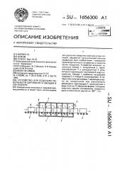 Устройство для подсушки поверхности картофеля и овощей в контейнере (патент 1656300)