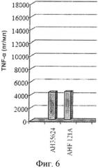 Штамм bifidobacterium longum, пригодный для применения в иммуномодуляции, индукции продукции цитокинов, лечении аутоиммунного заболевания, контроле отношения il - 10:il - 12, и его использование (патент 2557310)