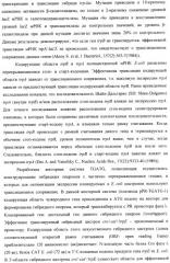 Способ конструирования оперонов, содержащих трансляционно сопряженные гены (патент 2411292)