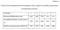 Способ детонационного нанесения покрытия из оксида алюминия (патент 2587370)