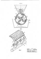 Машина для обескрыливания лесных семян (патент 1069765)