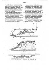 Способ очистки корневищ растений (патент 967344)