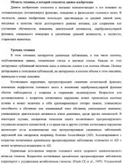 Композиции и способы для сохранения функции головного мозга (патент 2437656)