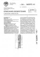 Устройство для заполнения жидкостью уплотнительного элемента гидравлического пакера (патент 1602973)