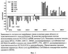 Способ оценки чувствительности клеток рака легкого к доксорубицину на основании уровней экспрессии маркерных генов и набор для его осуществления (патент 2528247)