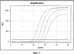 Набор олигонуклеотидных праймеров и флуоресцентно-меченого зонда для идентификации рнк вируса лихорадки долины рифт методом от пцр в реальном времени (патент 2552795)