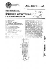 Массообменный аппарат (патент 1313481)