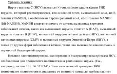 Ингибиторы hcv/вич и их применение (патент 2448976)
