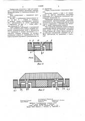 Тара (патент 1196309)