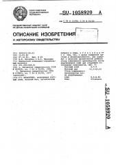 Шпаклевка (патент 1058920)