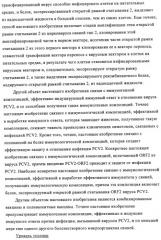 Поливалентные иммуногенные композиции pcv2 и способы получения таких композиций (патент 2488407)