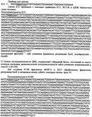 Способ получения рекомбинантного фрагмента плазминогена человека, обладающего антиангиогенным действием (патент 2458987)