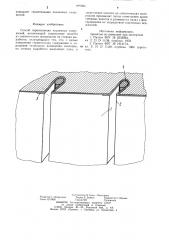 Способ пароизоляции подземных сооружений (патент 899983)