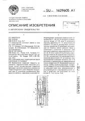 Скважинная гидроштанговая насосная установка (патент 1629605)
