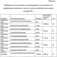 Рекомбинационная кассета, содержащая гены ep153r и ep364r штамма congo (кк-262) вируса африканской чумы свиней и рекомбинантный штамм δсongocd2v вируса африканской чумы свиней (патент 2654586)