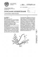 Ротационный рабочий орган культиватора (патент 1777679)