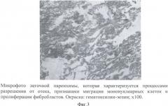 Способ моделирования острого повреждения легких (патент 2456677)