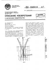 Стеллаж для выращивания лианообразных растений (патент 1523113)