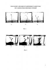 Способ визуализации ограниченных (замкнутых) нестационарных вихревых течений (патент 2602495)