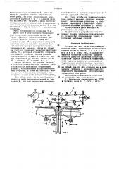 Устройство для зачистки брюшной полости рыбы (патент 685264)