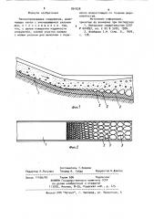 Наносопроводящее сооружение (патент 891838)