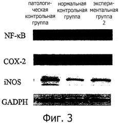 Лечение и/или предотвращение воспаления и фотоповреждения кожи и фотозащита кожи с помощью водорастворимого экстракта растения рода solanum (патент 2541804)