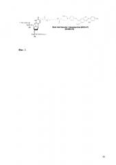 Набор синтетических олигонуклеотидов для определения уровней экспрессии гена pdlim4 (патент 2612139)