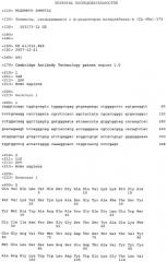 Элемент, связывающийся с  -рецептором интерлейкина-4 (il-4r )-173 (патент 2490278)