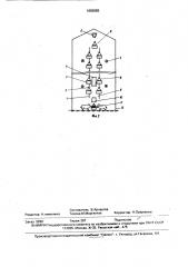 Способ выращивания и скармливания животным гидропонного корма (патент 1653655)