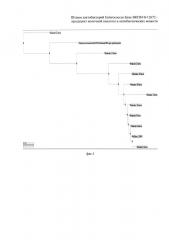 Штамм лактобактерий enterococcus hirae - продуцент молочной кислоты и компонент закваски для производства пробиотических продуктов (патент 2650782)