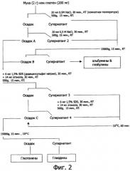 Композиция кремовой начинки и способ ее приготовления (патент 2322086)