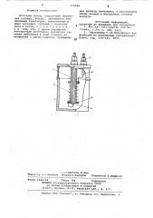 Источник ионов (патент 550044)