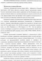 Модифицированная ксиланаза (патент 2394909)