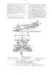 Устройство для уборки кочанной капусты (патент 1323020)