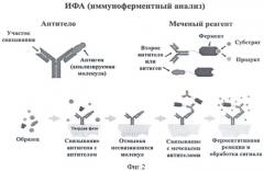 Способ оценки эффективности терапии рака мочевого пузыря человека методом иммуноферментного анализа (патент 2468088)