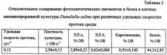 Способ культивирования одноклеточной зеленой микроводоросли dunaliella salina для получения биомассы (патент 2541446)