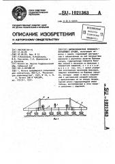 Широкозахватное почвообрабатывающее орудие (патент 1021363)